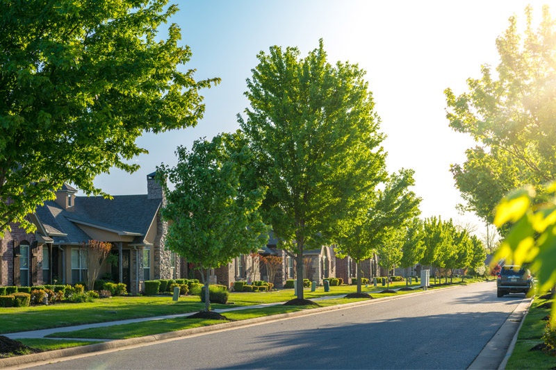 What You Need to Know About Property Lines in Riverside