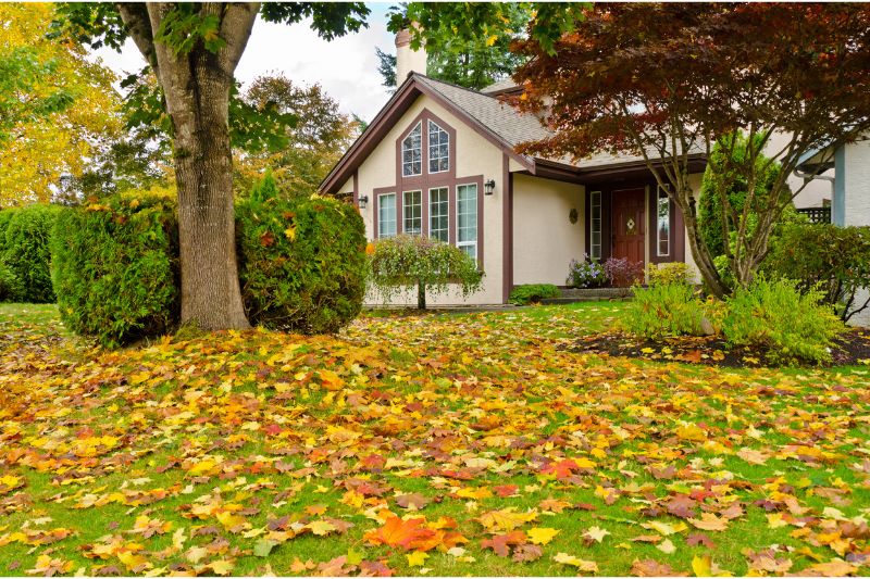 Fall Yard Maintenance Tips for the Riverside Homeowner