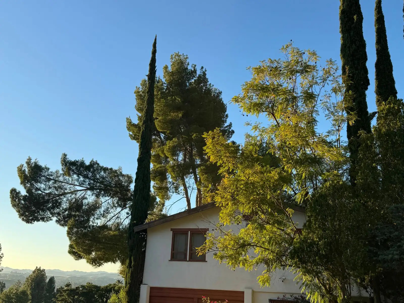 Single-family home on a tree-lined Southern California street, eligible for FHA financing subject to appraisal