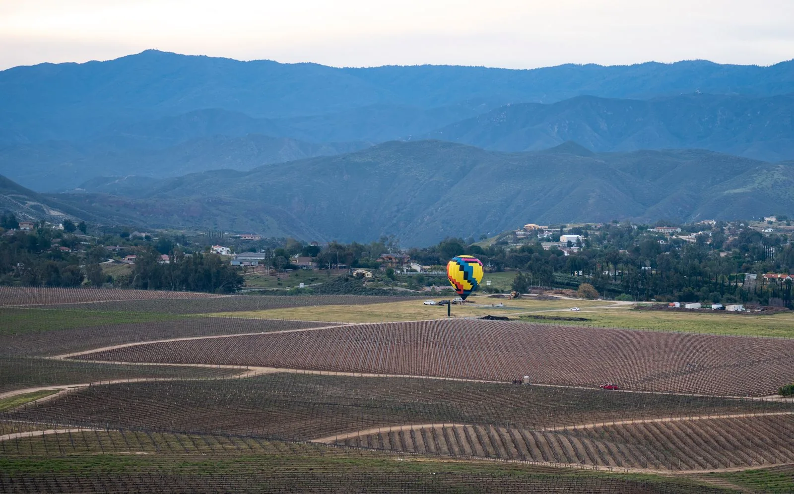Hot air balloon over vineyards and mountains in the Temecula Valley, Riverside County, Inland Empire